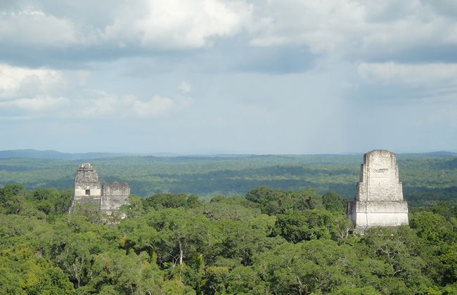 Visita ao Parque Nacional Tikal desde a cidade de Guatemala - Foto 1
