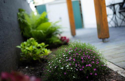 Anca's Haus - Foto 9