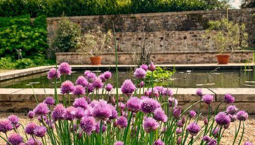 House with a private hot tub and medieval garden - Foto 2