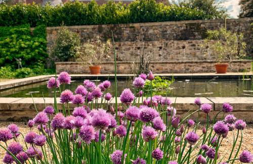 House with a private hot tub and medieval garden - Foto 2