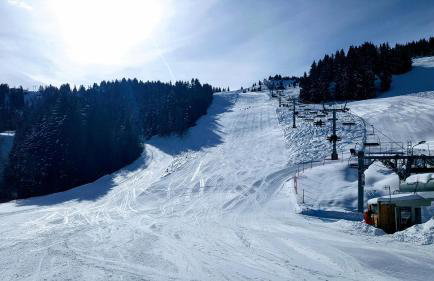 Appartements Le Clos des Gentianes - Foto 70