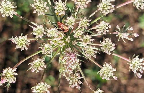 Gîte des Graves de Lilou - Foto 61