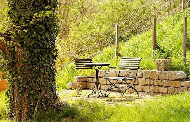 Holiday Apartment in Werder - Foto 13