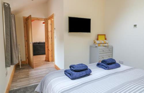 Pipistrelle - Foto 8