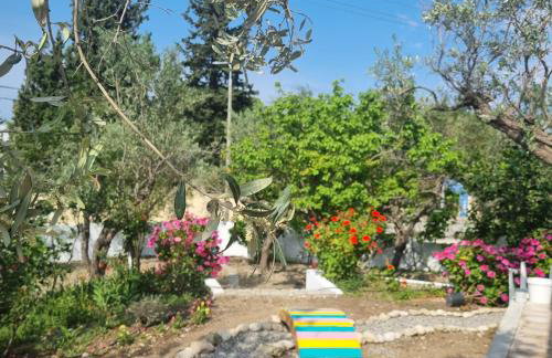 Arocaria Apartment in Faliraki with garden , mountain and sea view - Photo 39