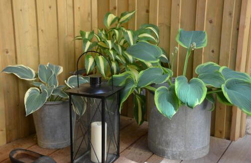 La Parenthèse - Foto 14