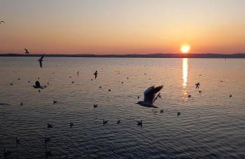 Casa Vacanze Principesca - Foto 48