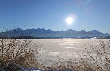 Ferienhaus Mayr - Ferienwohnung Bergblick - Foto 30