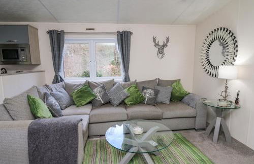 43 The Deri - Foto 3