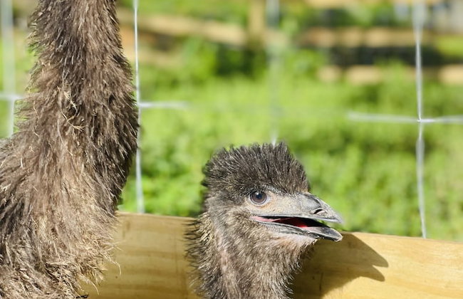 HACIENDA ILUMINADA ECO RETREAT - Foto 23