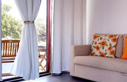 Vista Montanha - Foto 47