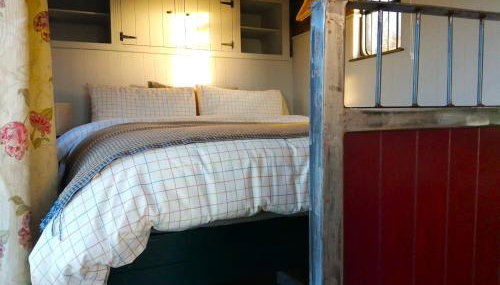 The Horsebox, unexpected luxury - Foto 4