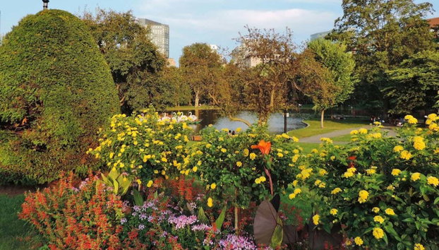 Visita guidata di Boston - Foto 4