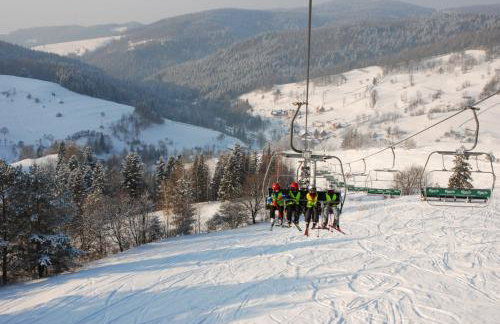 Domki na Polach Piwniczna-Zdrój - Foto 7