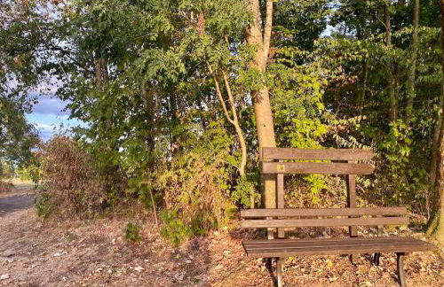 Ferienwohnung Haiger-Burbach für 5 Personen - Foto 29