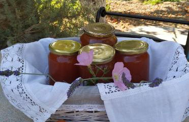 Saint Louis - Foto 26