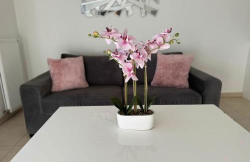 Appartement à Frejus avec piscine et terrasse - Foto 7