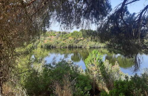 Casa Zé Actor - Foto 28