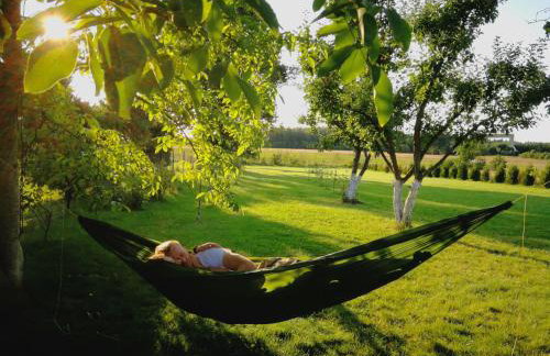 Agroturystyka "Dobre czasy" - Foto 73