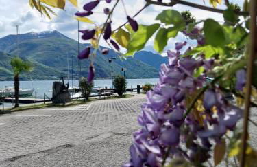 Vichi's nest - Foto 38