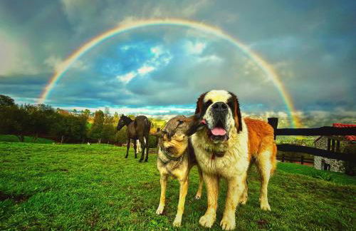 Casa La alemana - Foto 25