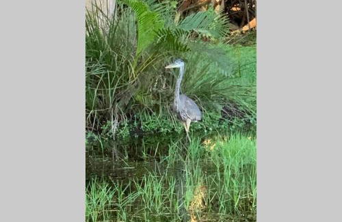 Bonita Oasis - Foto 22