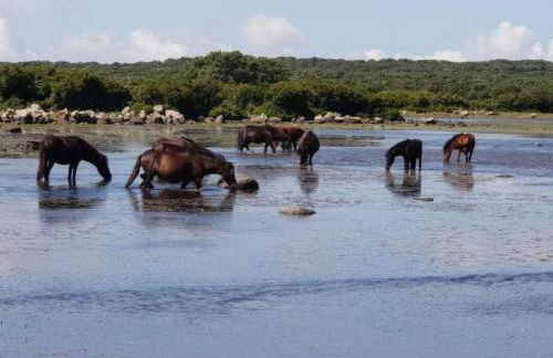 Holiday Home mit Wasserblick by Interhome - Foto 59