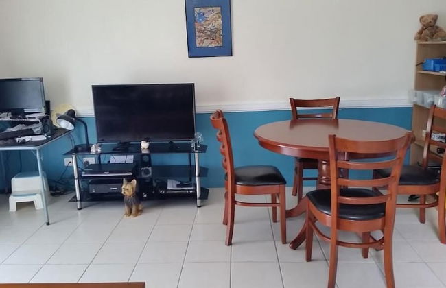 Pacific Sands Holiday Apartments - Foto 12