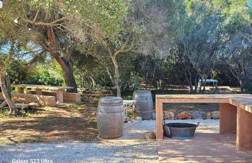 Mallorca Dream - Foto 51