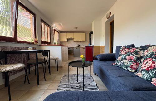 Planinski Raj House with 2 Apartments for 10 Guests - Foto 49