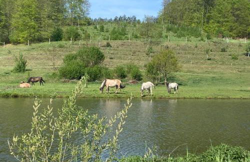 Jeleńczówka Alte Dorfschule - Foto 46