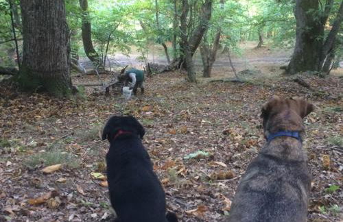 SO MAGIC - La casa nel bosco - Foto 46