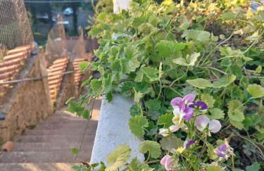 Cas'Ale ai Castelli Romani - Foto 32