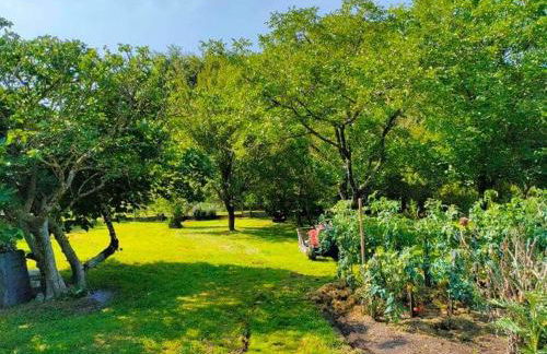 Le Gite de Colette et Jean-Claude - Photo 7