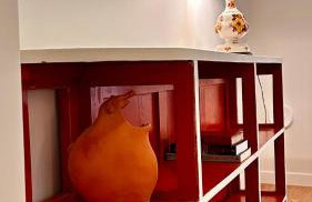 Cobalto 2 Quartos Parque Cidade Pet Friendly - Foto 19