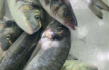 Apartments Paco & Bony - Photo 21