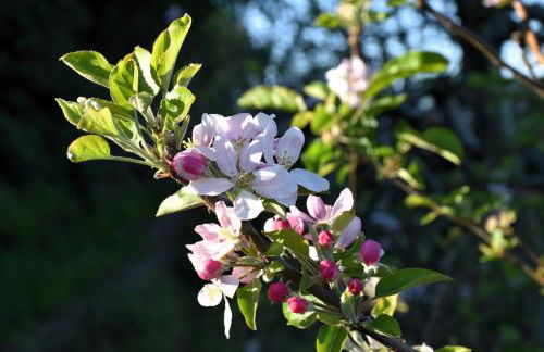 Serenity Views, Silver Coast, PT - Foto 49