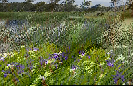 Hazelcreek Cottages - Photo 16