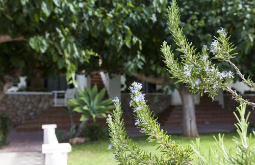 Apartamentos Els Romers Benicarló-Peñíscola - Foto 60