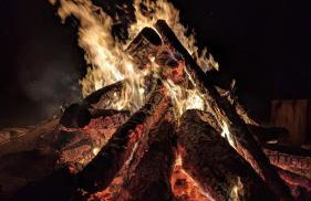 Beautiful cottage in Brentwood - Foto 46