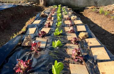 La Casa del Carrubo con Piscina condivisa in campagna vicino al mare - Canestanco 18 - Foto 54