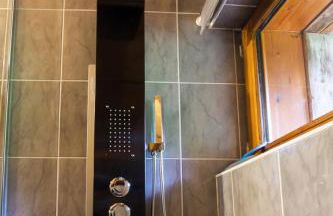 Appartement dans chalet aux saisies-100m des pistes-cœur station 13 pers - Foto 23