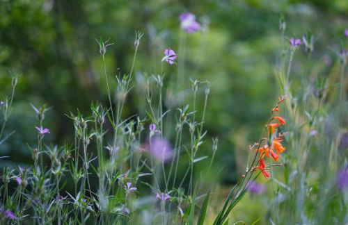 Tig Cottage - a rural, quirky, pet friendly 2 bedroom cottage near Ballantrae - Foto 52