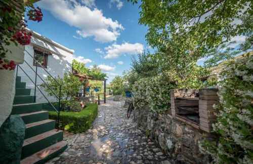 Al Agia - Los Molinos de Padul - Foto 22