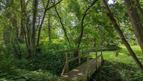 Gästehaus Reimold - Foto 2, Garden