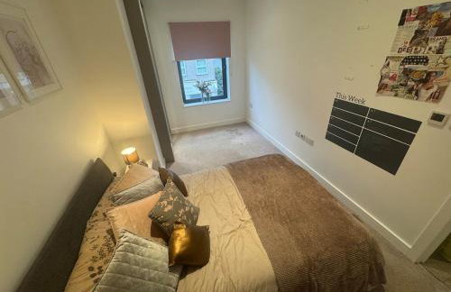 JVL Nice Cosy 1BR Flat Purley, London - Foto 51