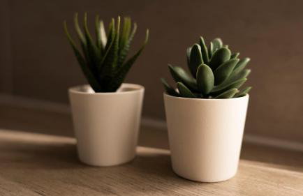 MD-6 Buckau Karl-Schmidt-Strasse 22 Appartement Top Ausstattung - Smart TV - 2Schlafzimmer -5 Min zum Zentrum - Photo 6