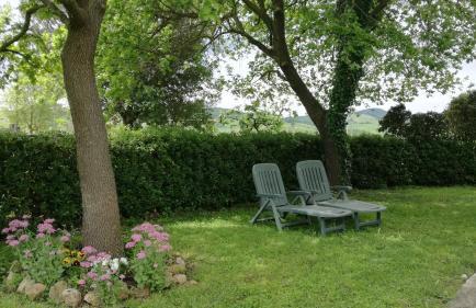 Agriturismo cavallin del papa - Foto 13