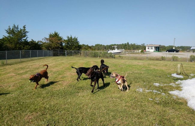 Camp Cardinal Gloucester Point - Photo 13