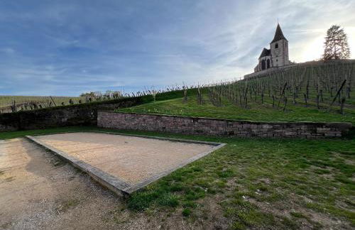 Gite familiale avec piscine Hunawihr, proche de Ribeauvillé et Colmar - Foto 33